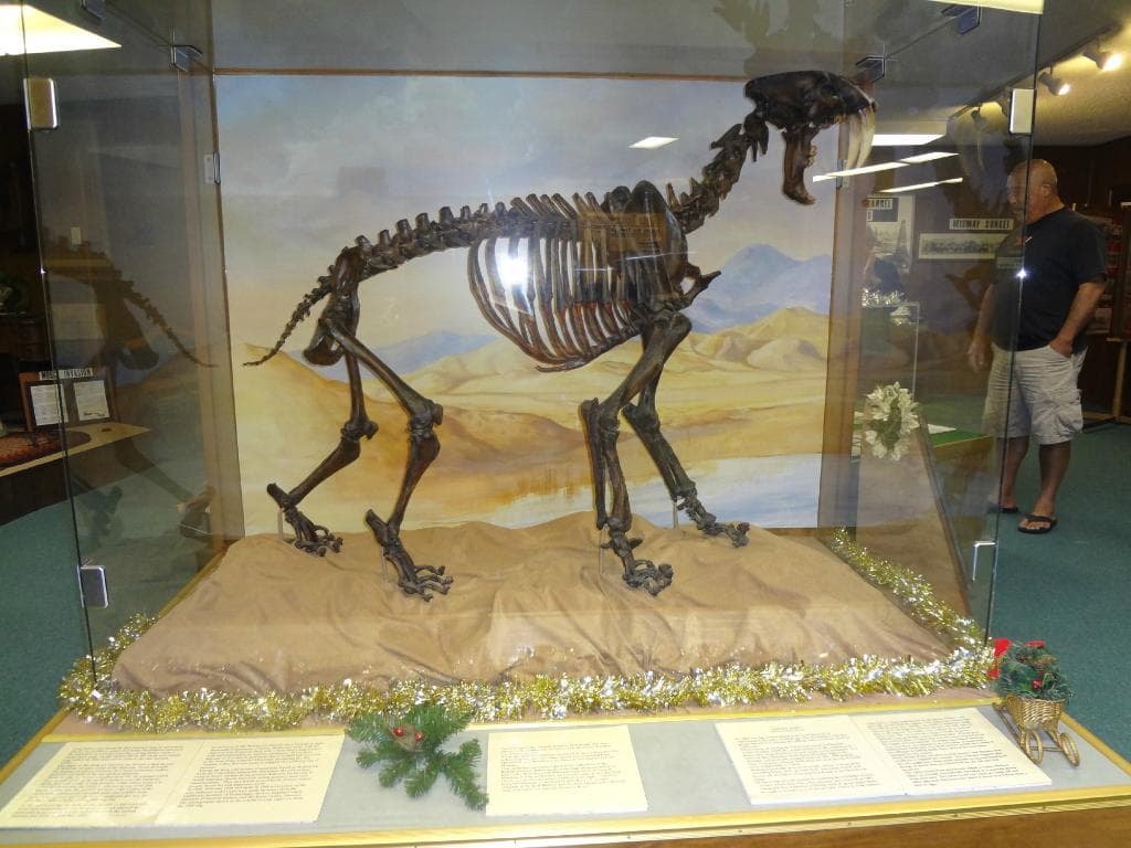 Taft's version of tar pits