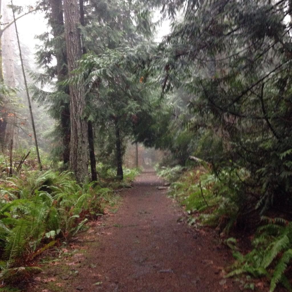 Hemer Provincial Park British Columbia