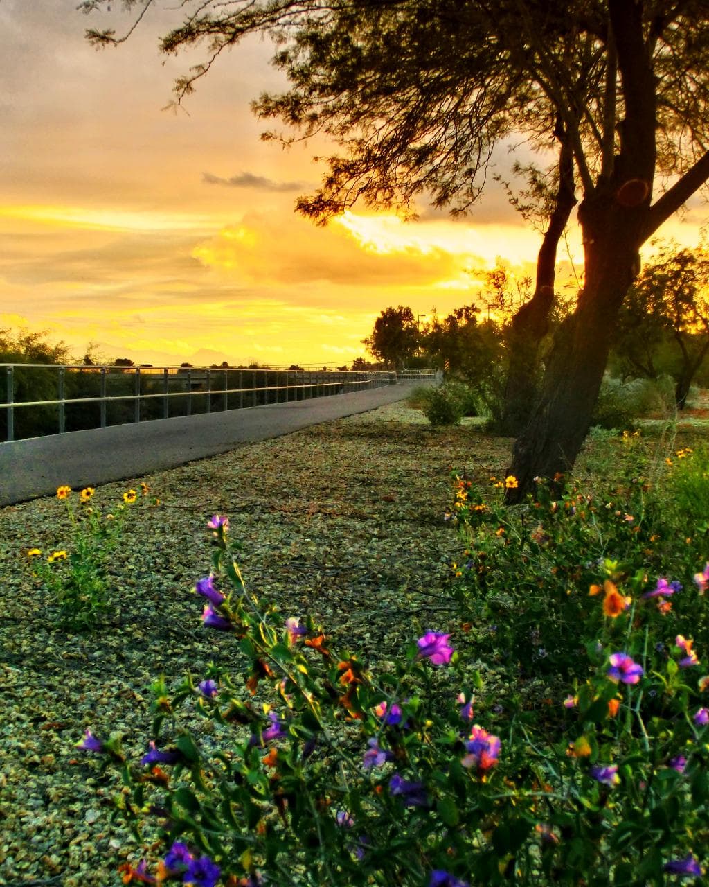 New River Trail near Peoria Ave.