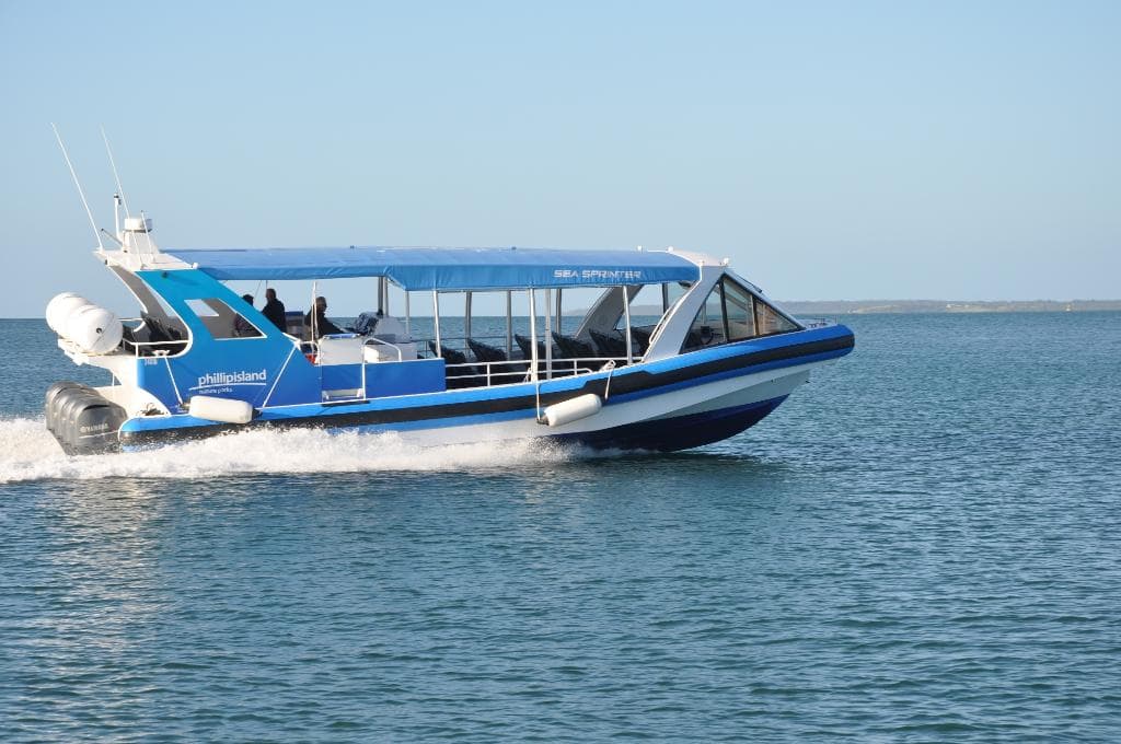 Wild Ocean EcoBoat