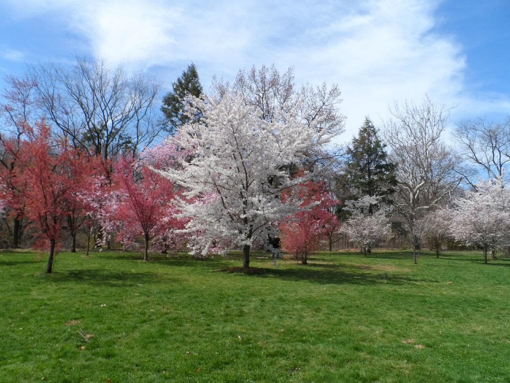 EXOTICAS E COLORIDAS