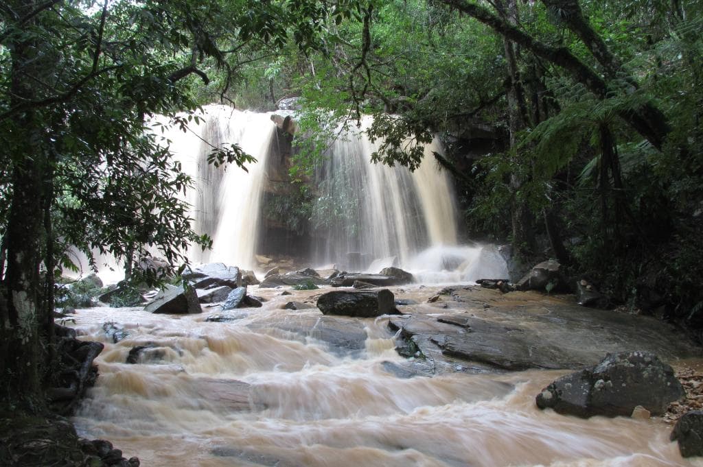 Depois da chuva