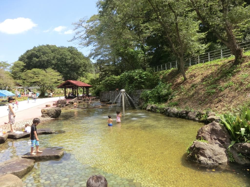 6-9月の間、池では孫を安全に遊ばせられる。