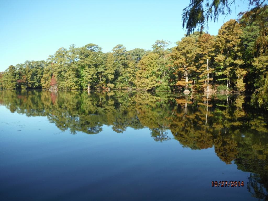 Lake view