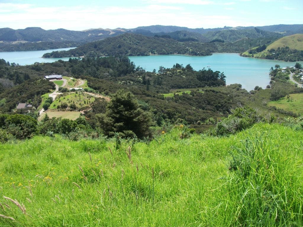 View on the way up