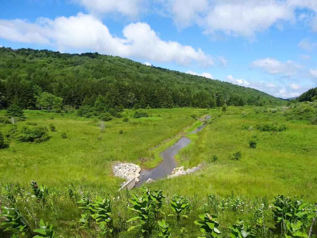 Valley near Spruce Knob Lake