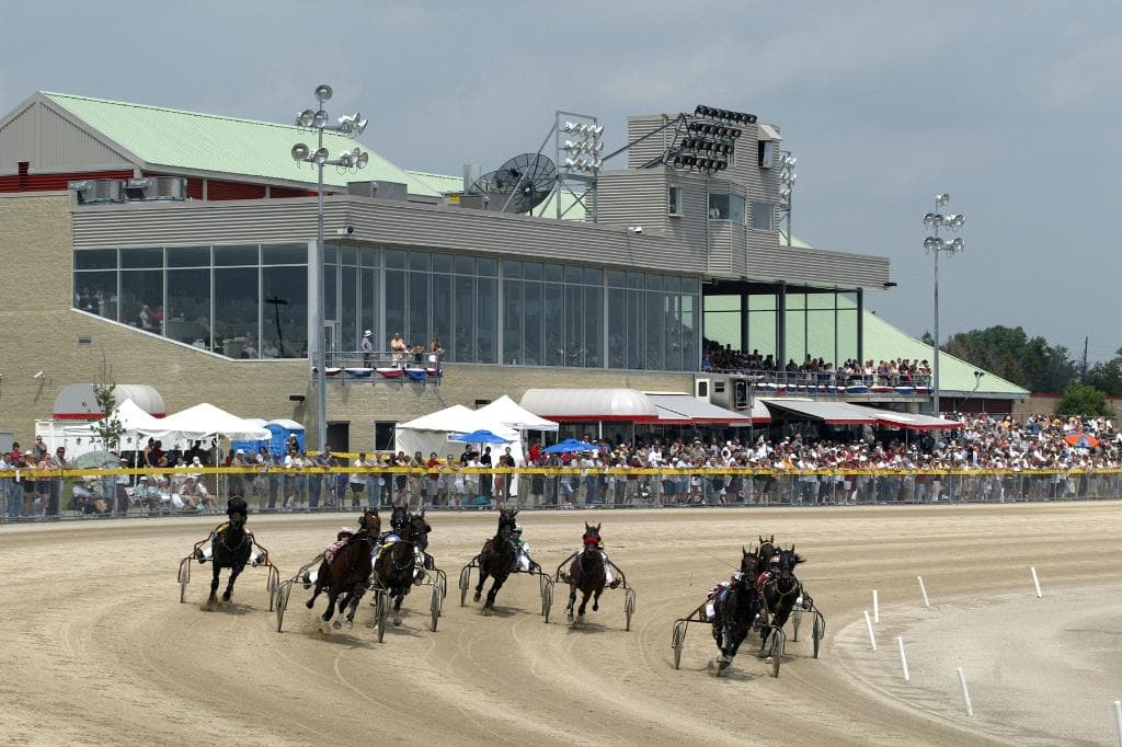 Live horse racing
