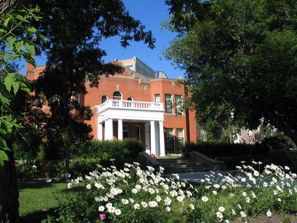 Rutherford House frontyard daisies.