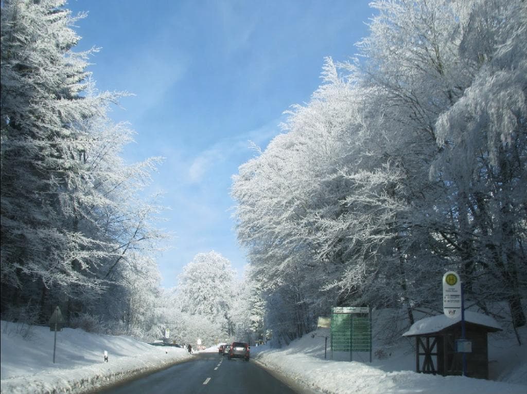 Bushaltestelle Rotes Kreuz an der Straße nach Reifenberg