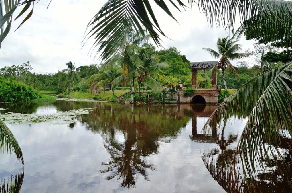 Heading towards Warappa Kreek