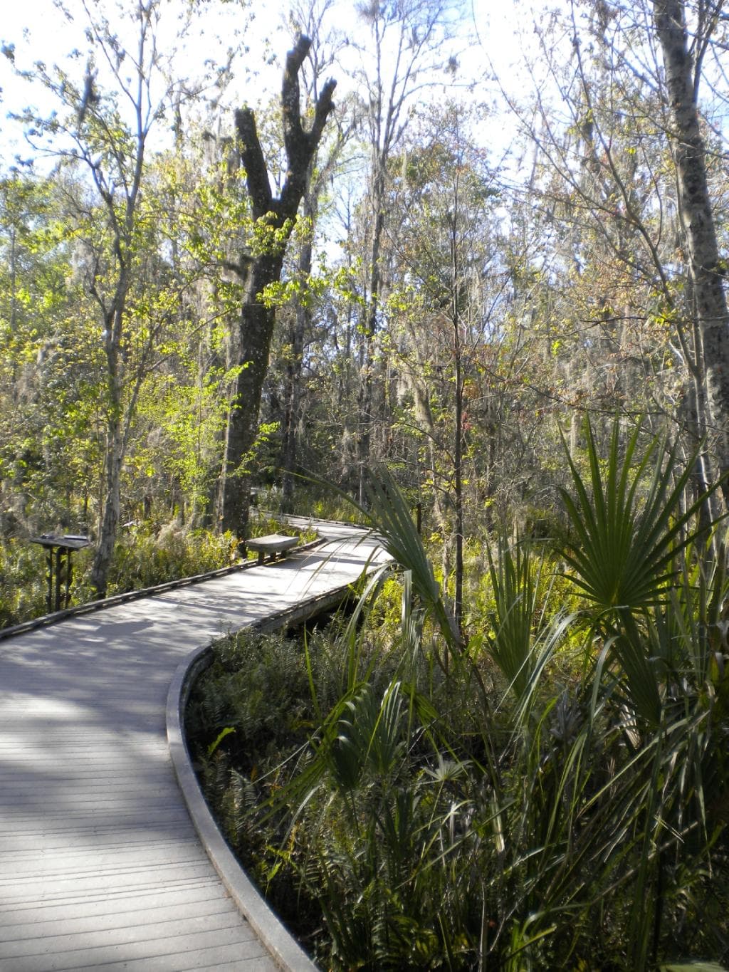 You go so deep into the wetlands that you feel like you are entering another realm.