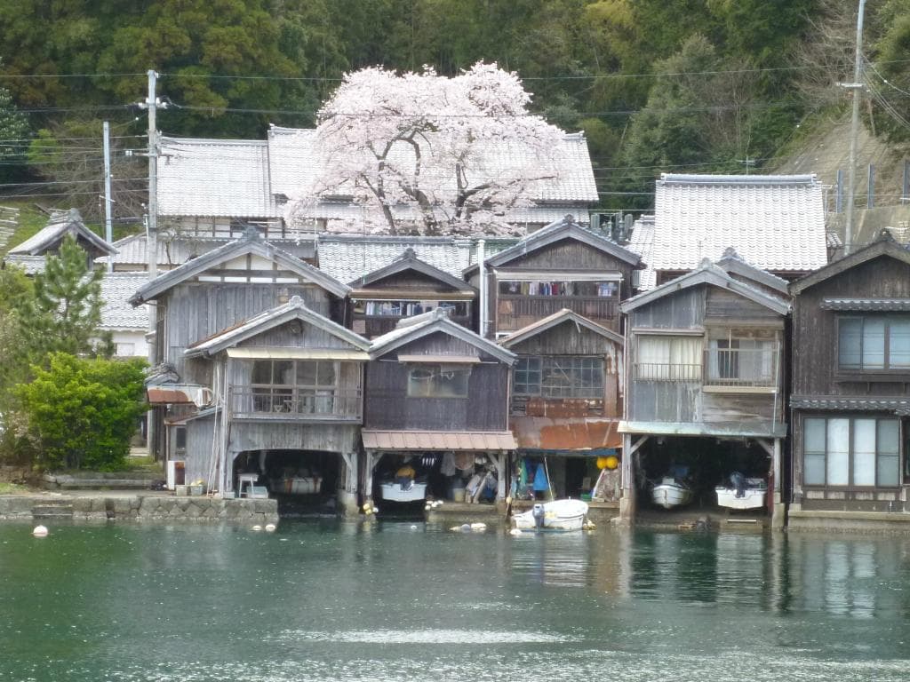 伊根の春
