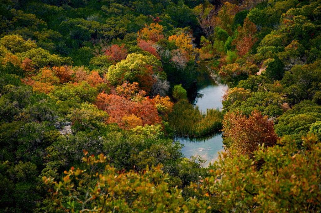 Lost Maples State Park