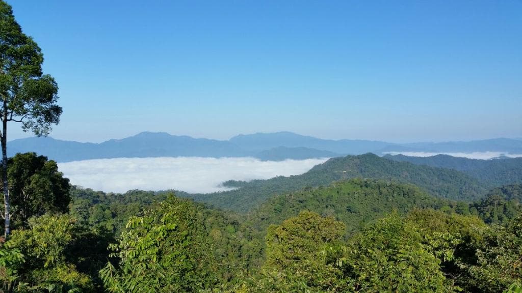View above the clouds