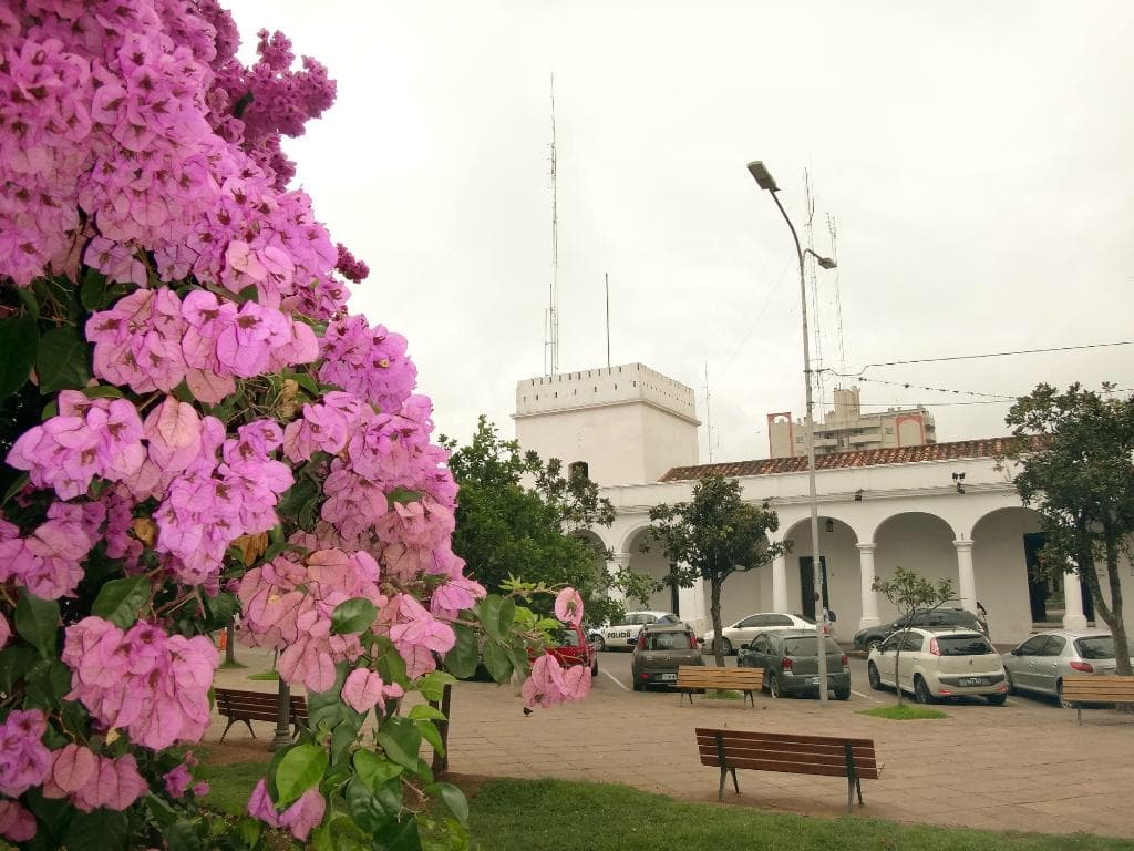 Cabildo desde la plaza
