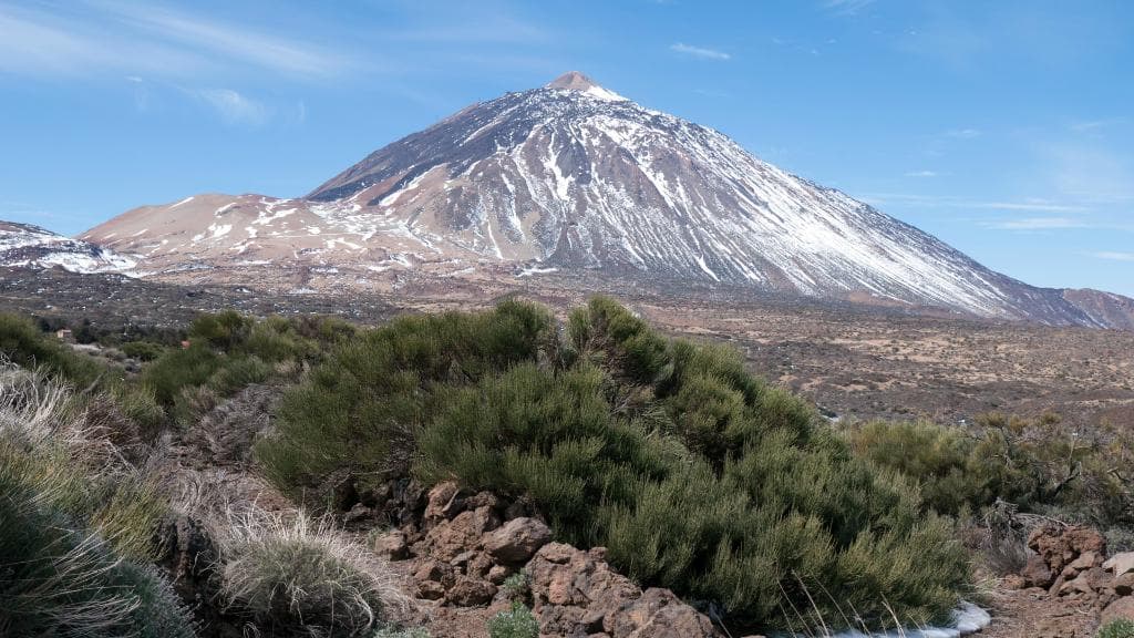 Тейде, Монтанья-Бланка и куст ракитника