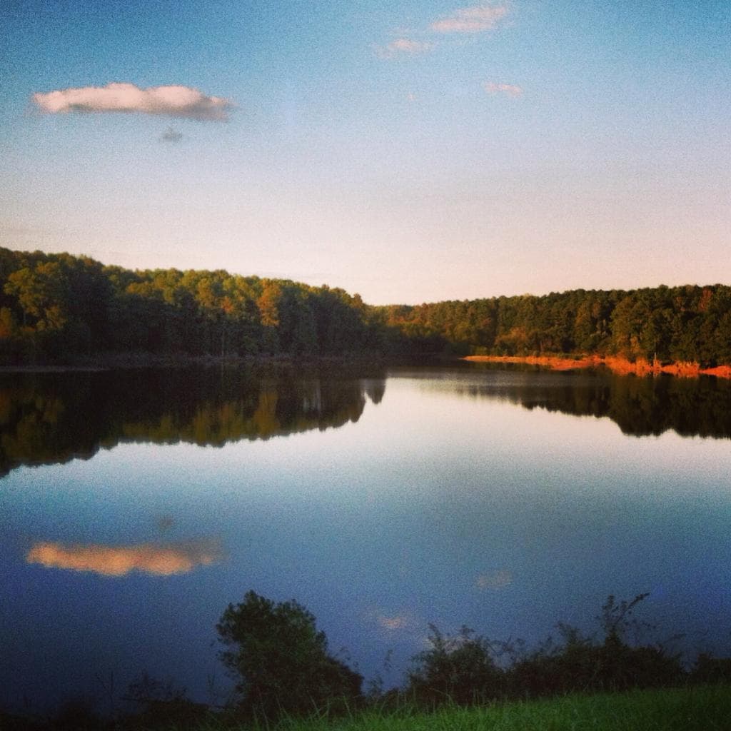 getlstd_property_photo