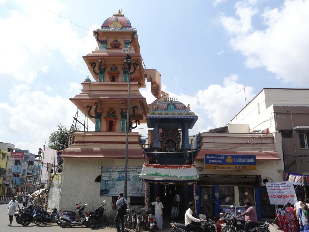 front side elevation of Mutt