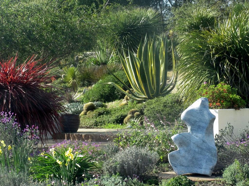 UC Santa Cruz Arboretum, Santa Cruz, Ca