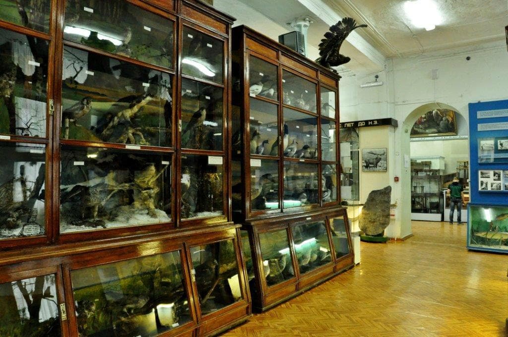 Exhibits