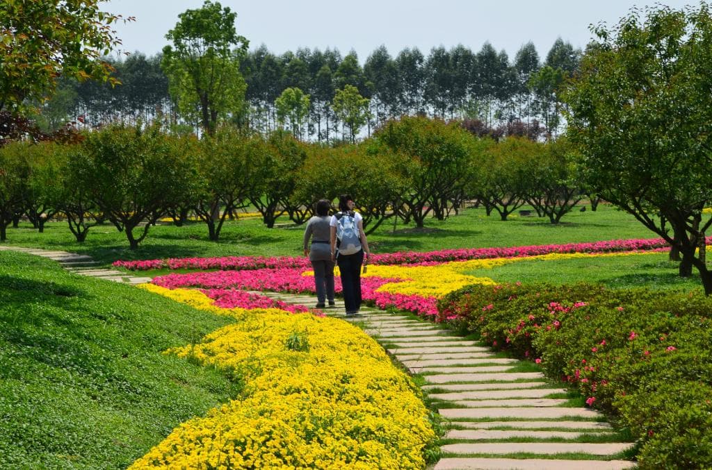 chengdu botanic garden