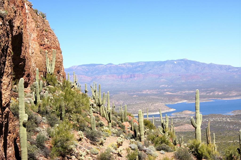 The view toward Roosevelt Lake from the cliff dwelling