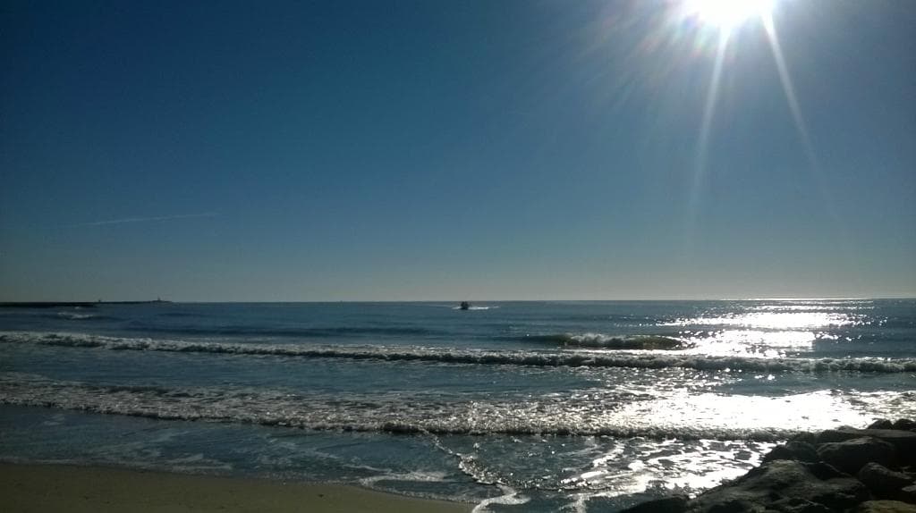 La plage ver le Petit Rhone/2