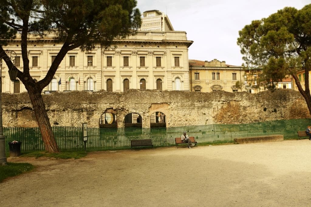 Общий вид парка