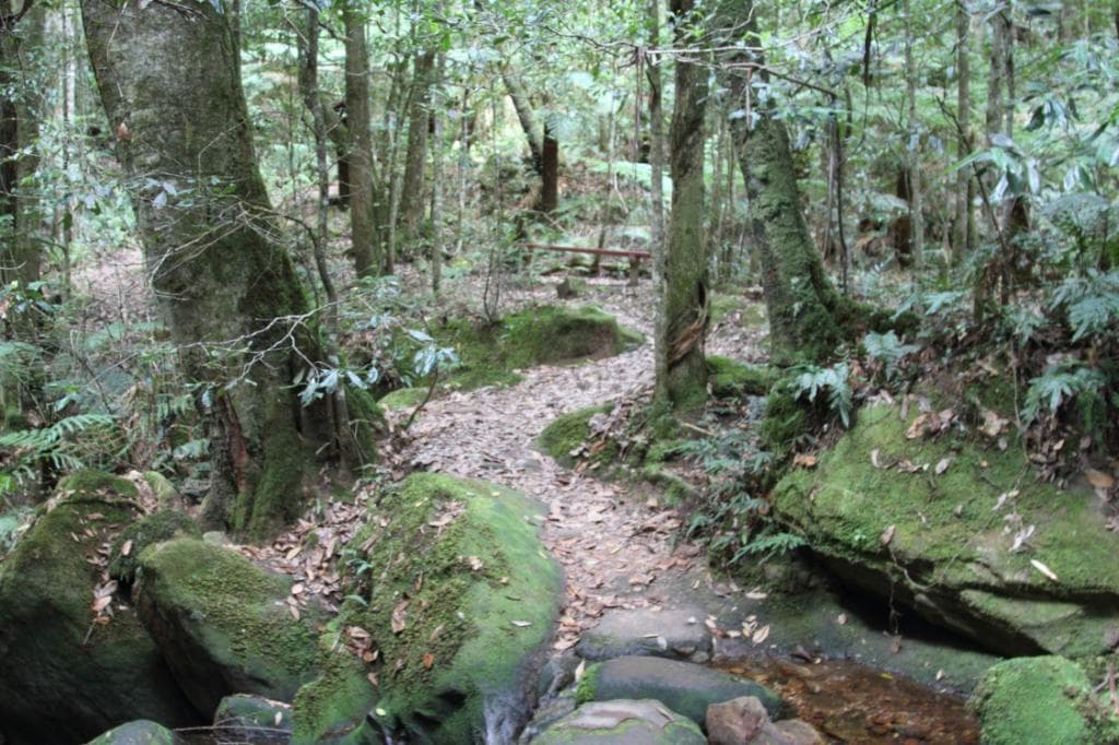 Pathway