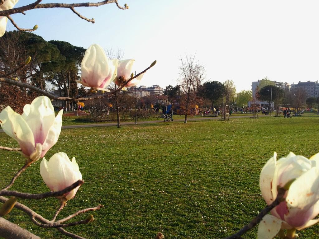 Parco Moretti