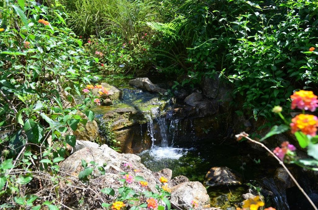 The enclosed butterfly area is also a really pretty place to walk