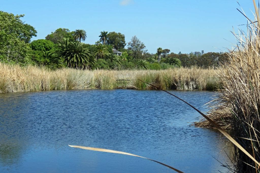 Buena Vista Lagoon at the center