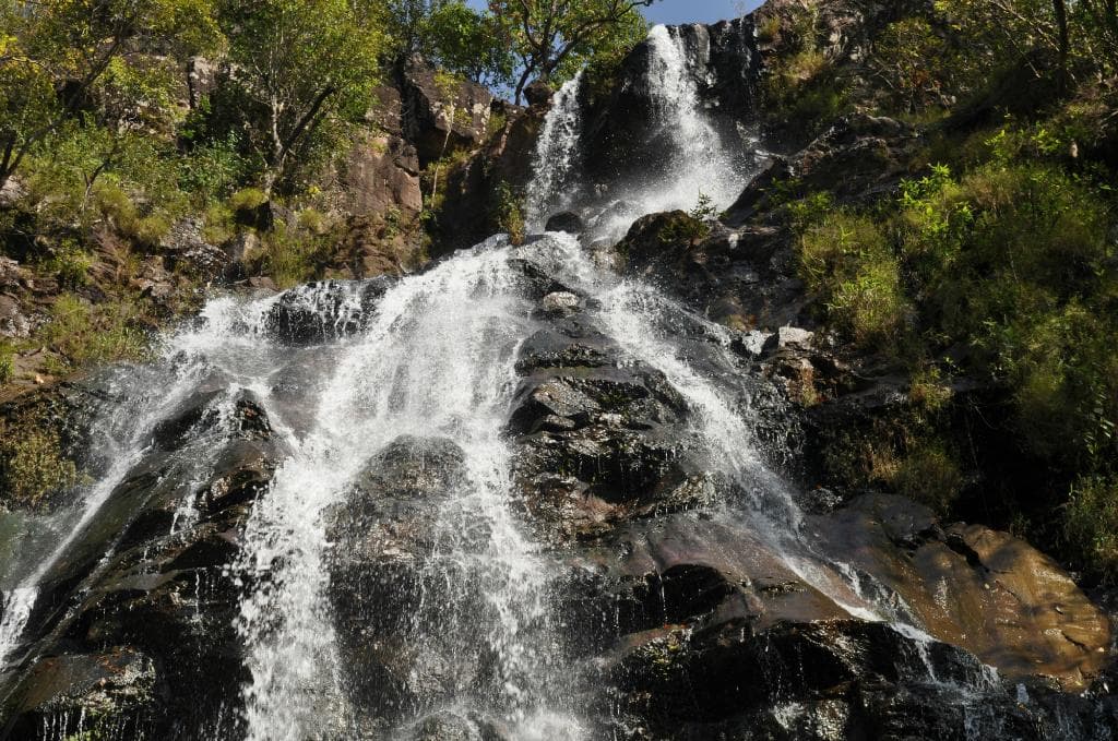 The Bee falls