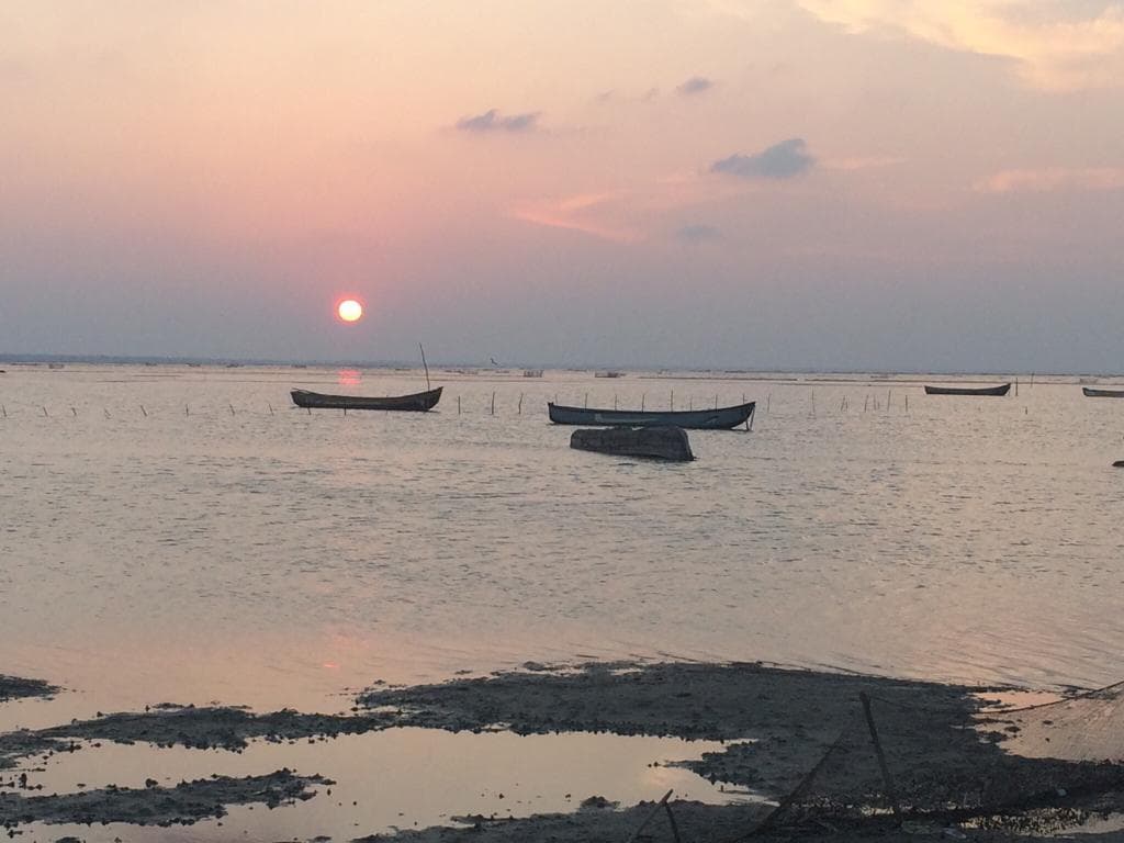 Nice sunset