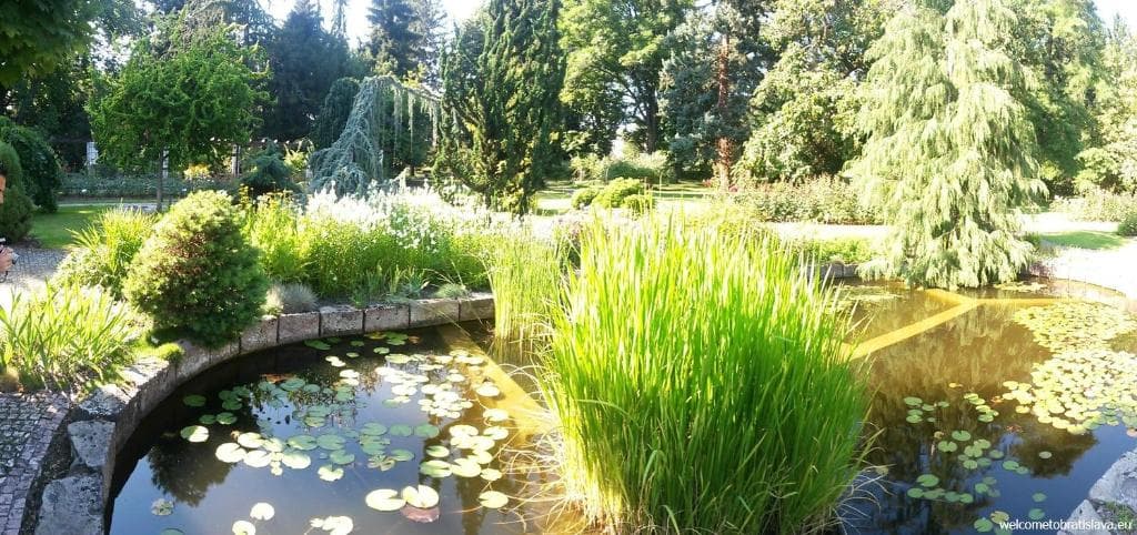 Botanical Garden, Bratislava