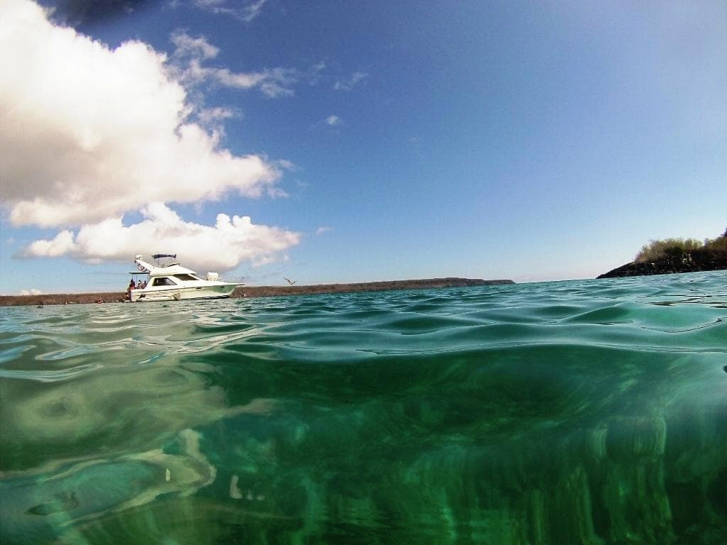 Punta Carrion - ilha Santa Cruza, Galápagos, Equador