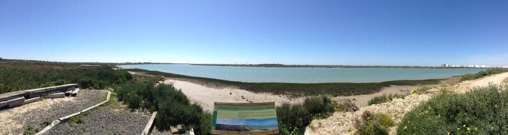 San Pedro River Panoramic