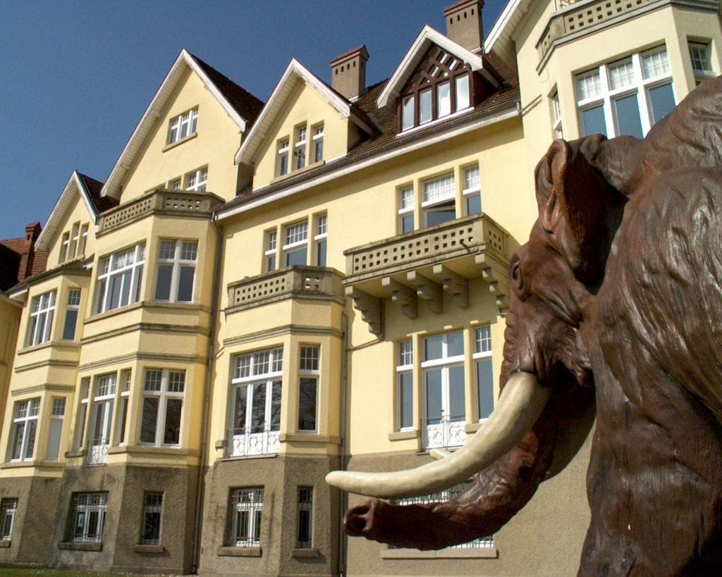 getlstd_property_photo