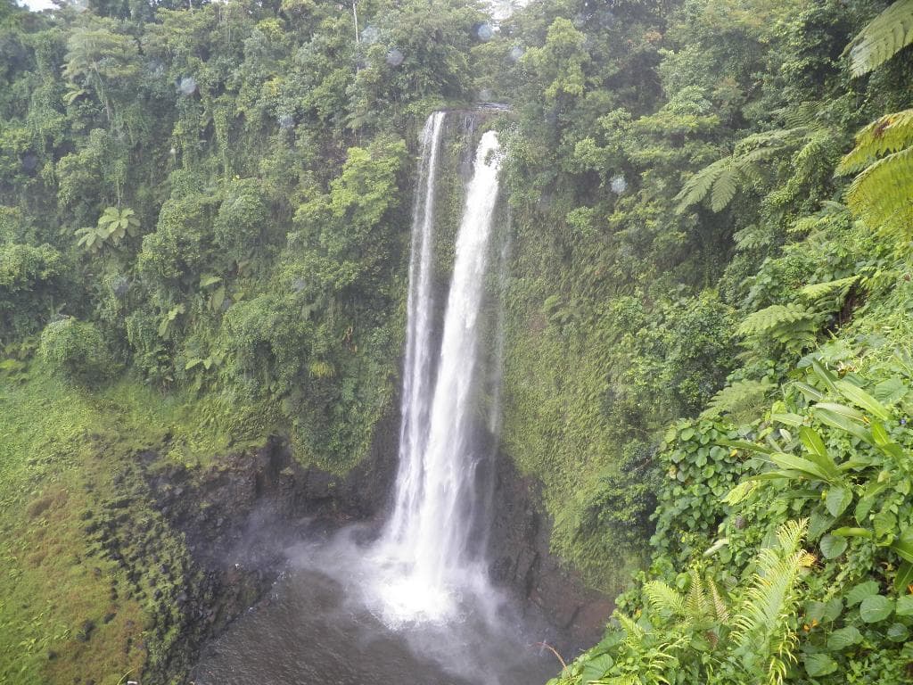 fuipisia
