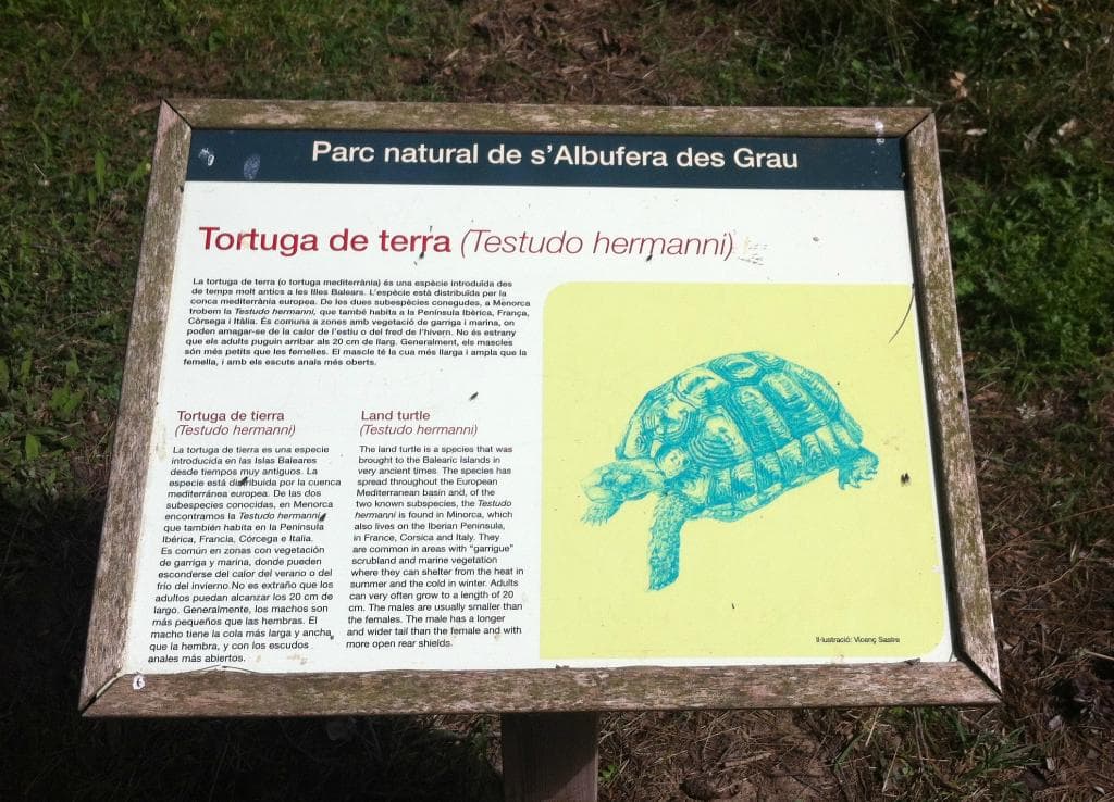 Информационные стэнды