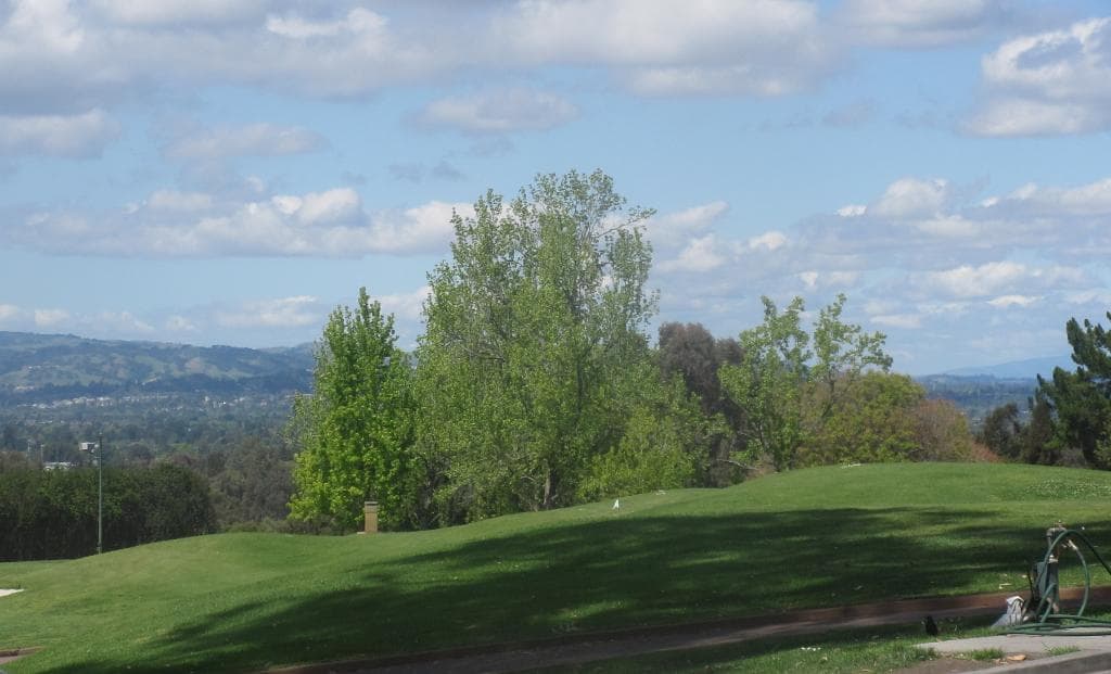 View from Boundary Oak Golf Course, Walnut Creek, Ca