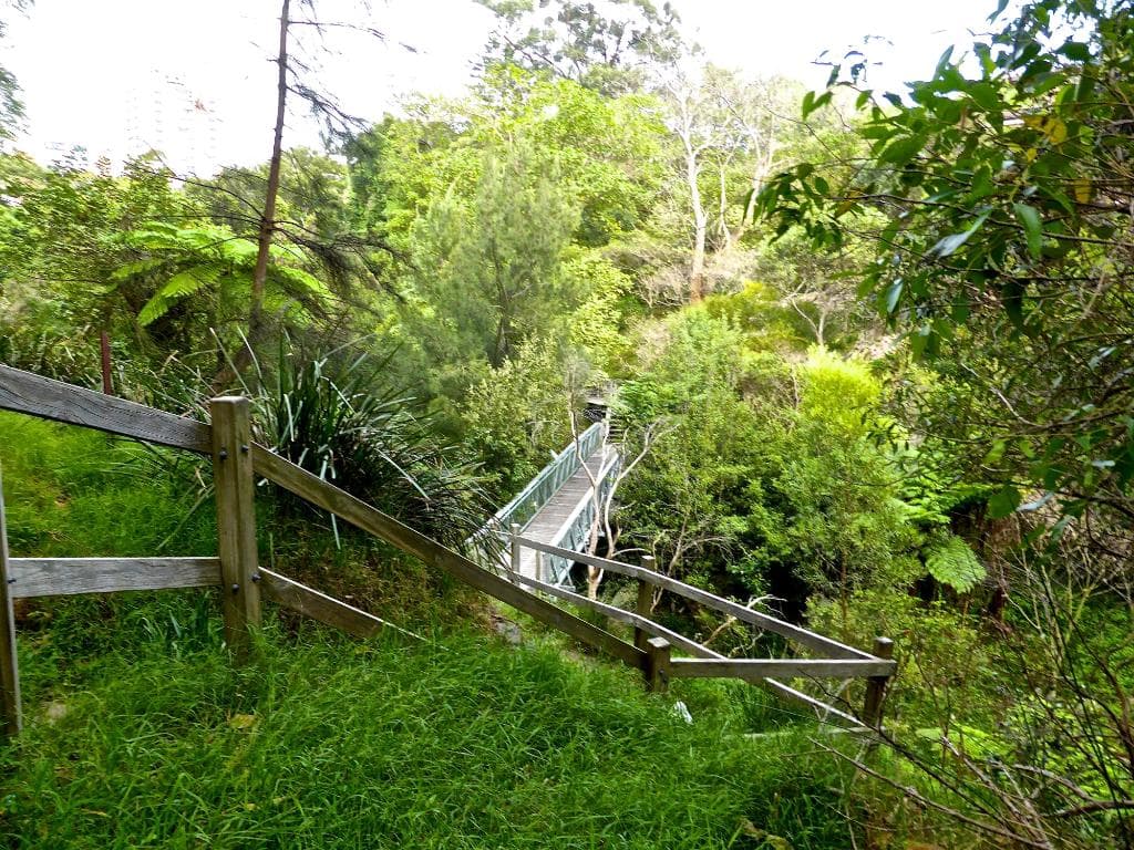 Bridge