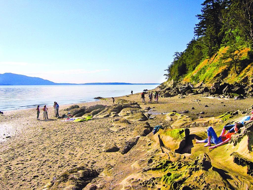 Sandy beach and gorgeous saltwater views at Clayton Beach