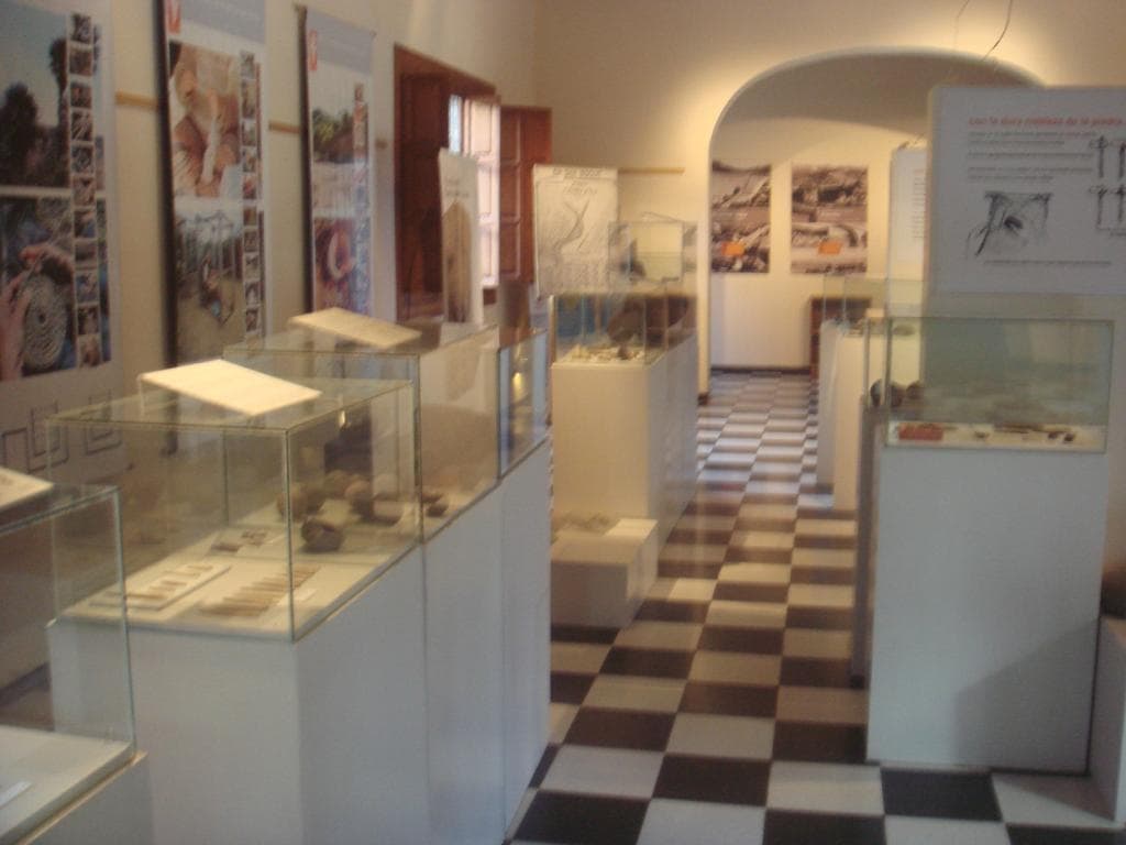 3- La sala de exposicion