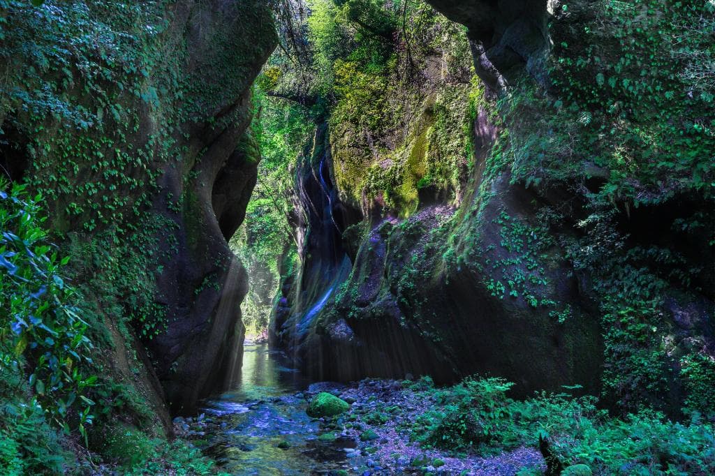 大分県は撮影の天国ですね。　門司区、シュウより