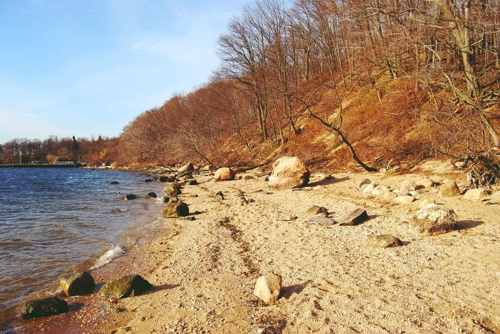 Section of beach