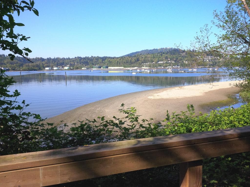 Old Orchard Park from Shoreline Trail