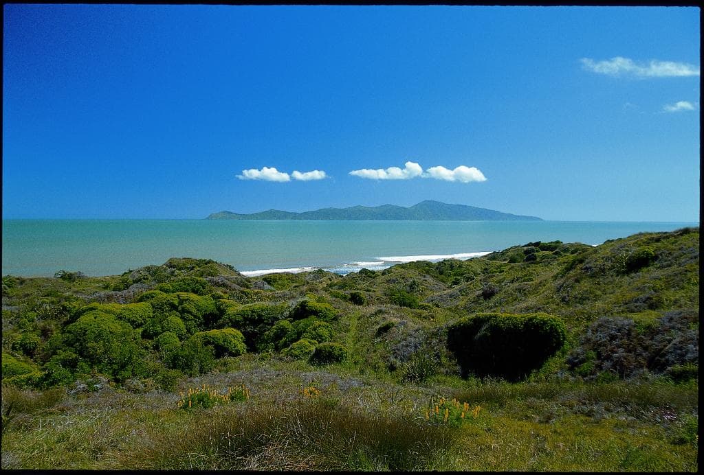Beach at Queen Elizabeth Park
