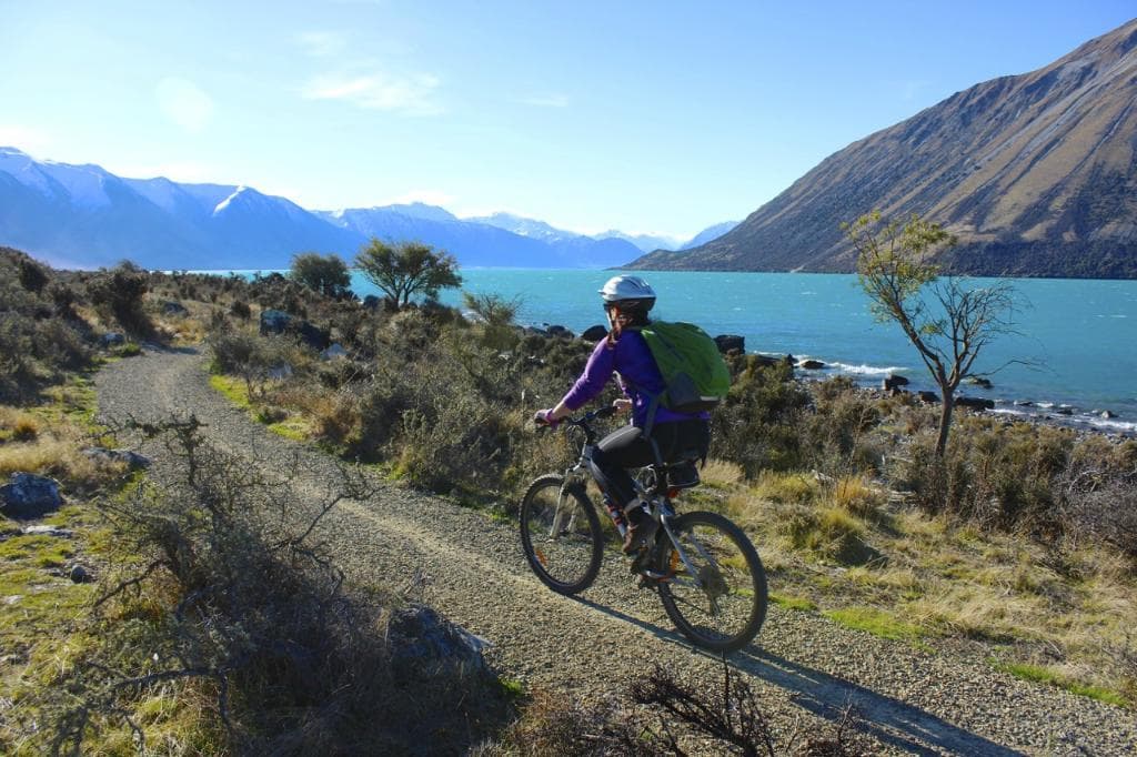 Lake Ohau foreshore