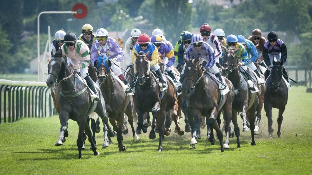 Courses de galop